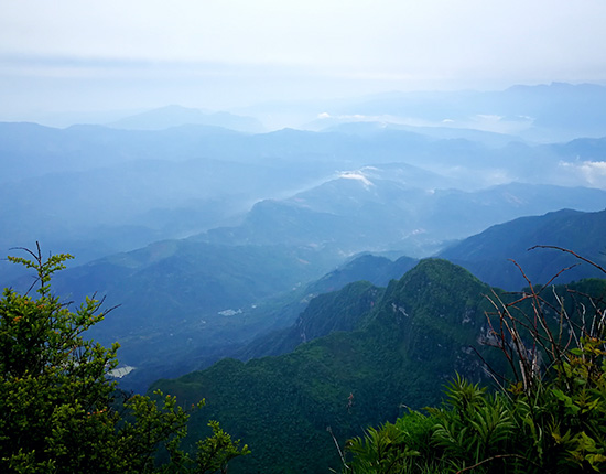 四川乐山大佛-峨眉山-都江堰-熊猫乐园六天半自助游